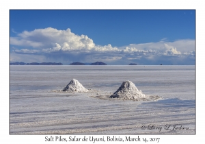 Salt Piles