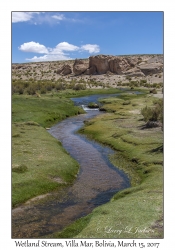 Wetland Stream