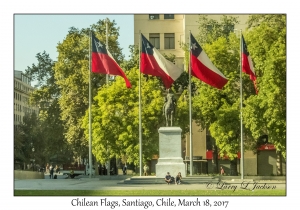 Chilean Flags