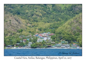 Coastal View