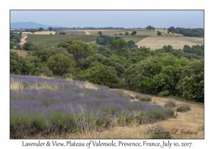 Lavender & View