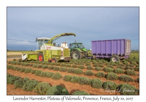 Lavender Harvester