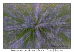 Zoom Blurred Lavender