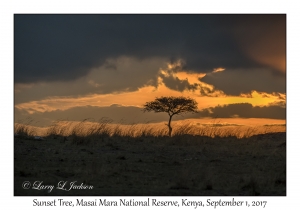 Sunset & Tree