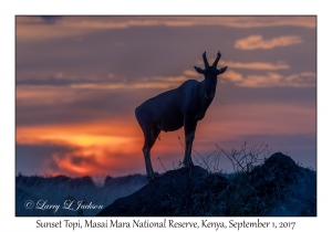 Sunset & Topi