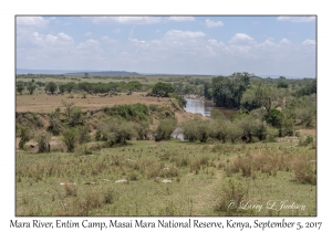 Mara River