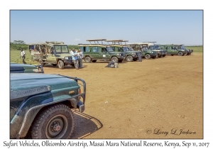 Safari Vehicles