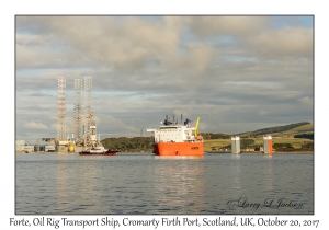 Forte Oil Rig Transport Ship