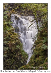 Slow Shutter Waterfall