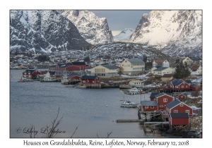 Houses on Gravdalsbukta