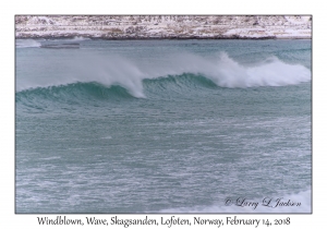 Windblown Wave