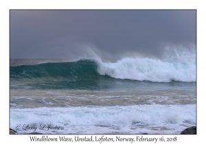 Windblown Wave