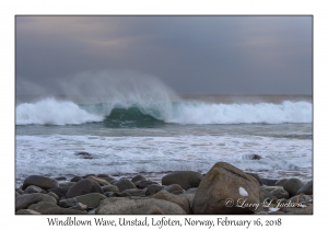 Windblown Wave