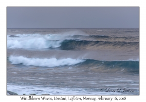 Windblown Waves