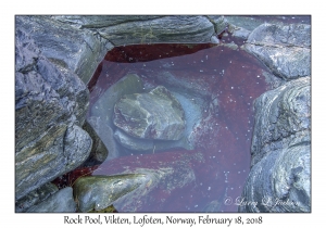 Rock Pool