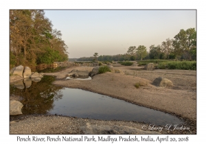 Pench River