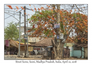 Street Scene