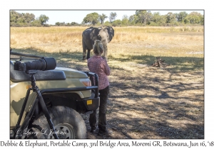 Debbie & African Elephant