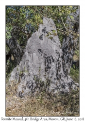 Termite Mound