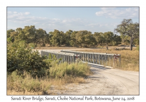 Savuti River Bridge