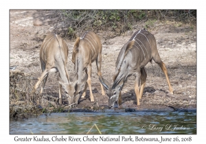 Greater Kudus