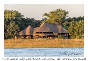 Chobe Savanna Lodge