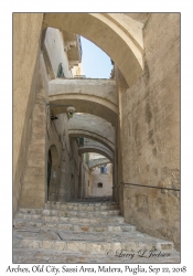 Walkway Arches