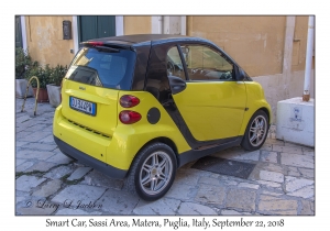 Smart Car