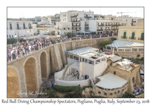 Red Bull Cliff Diving Spectators