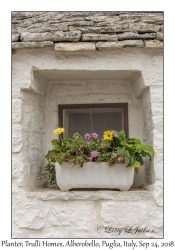 Window Planter