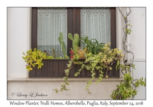 Window Planter