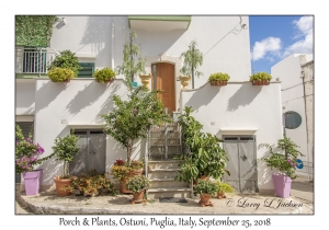 Porch & Plants