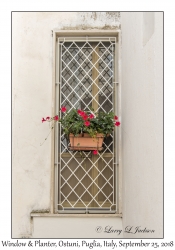 Window & Planter