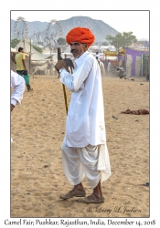 Rajasthani Man