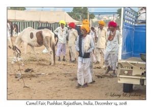 Rajasthani Men