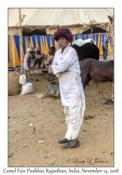 Rajasthani Man