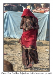 Rajasthani Woman