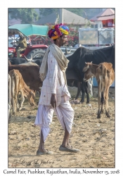 Rajasthani Man