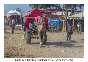 Camel Cart