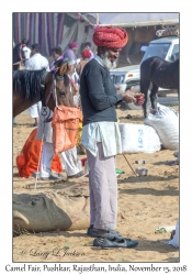 Rajasthani Man