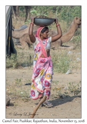 Rajasthani Woman