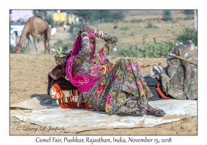 Rajasthani Woman