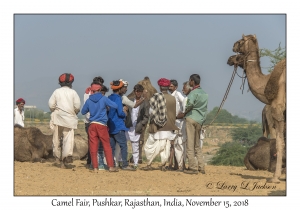 Rajasthani Men