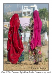 Rajasthani Women