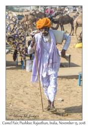 Rajasthani Man