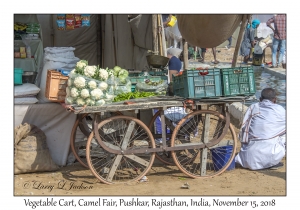 Vegetable Cart