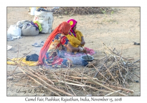 Rajasthani Women