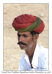 Rajasthani Man