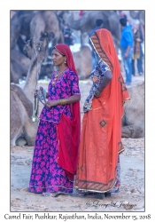 Rajasthani Women