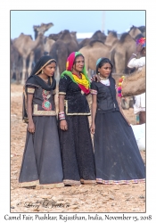 Rajasthani Women